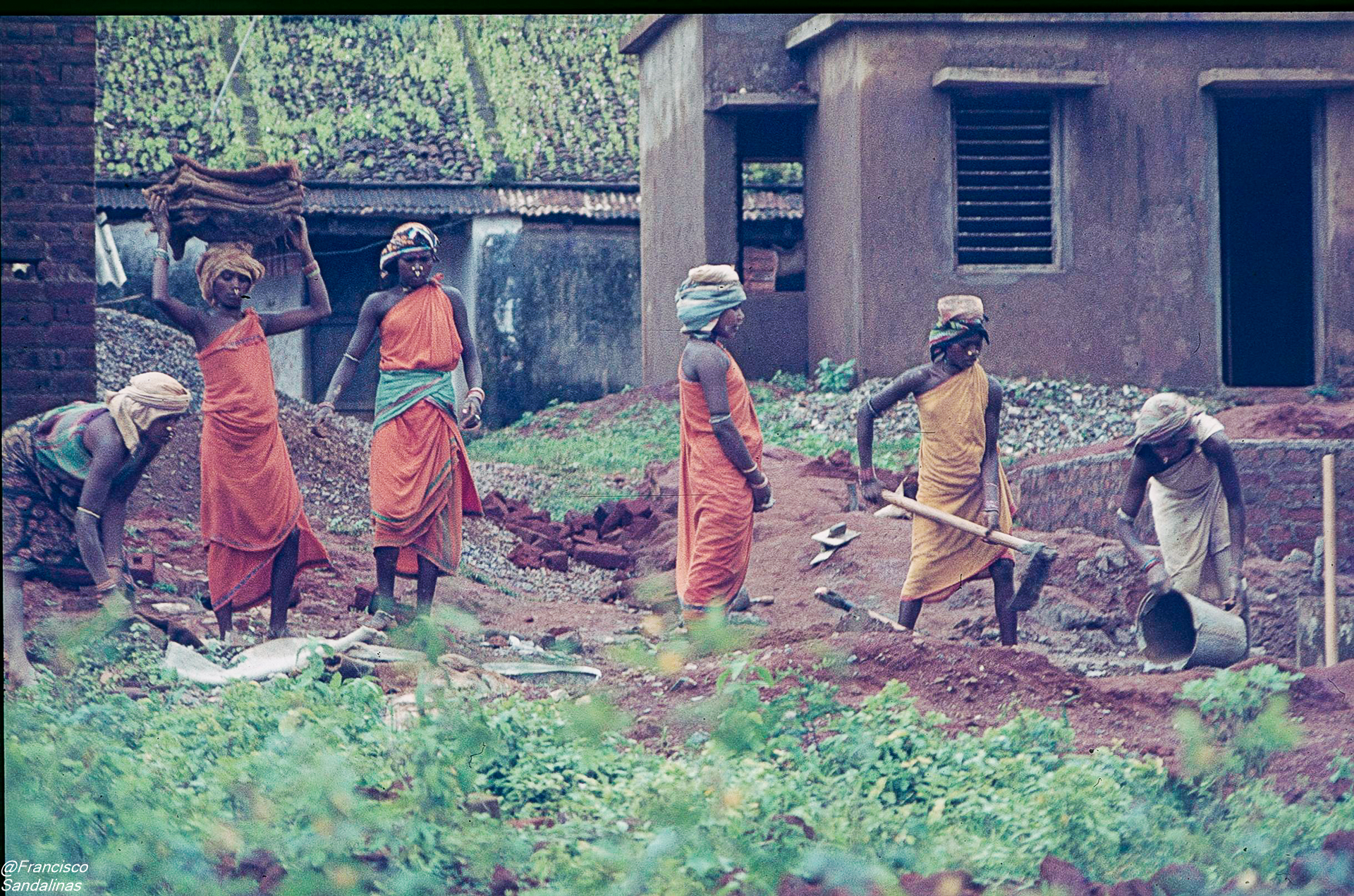 4.12-1984-Orissa-109-Jeypore-paaroja-woman-wor0001