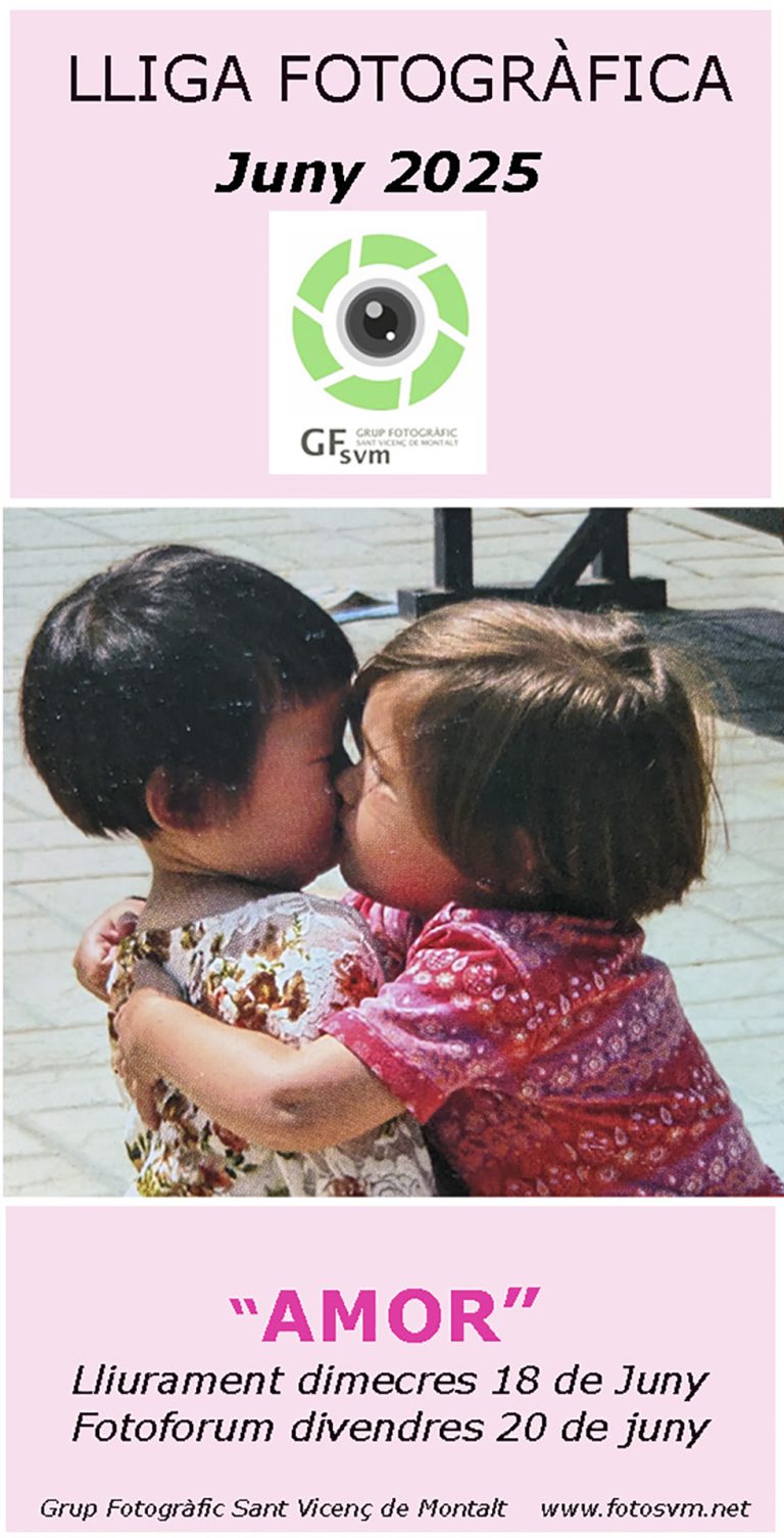 LLIGA SOCIAL GFSVM 2024/2025