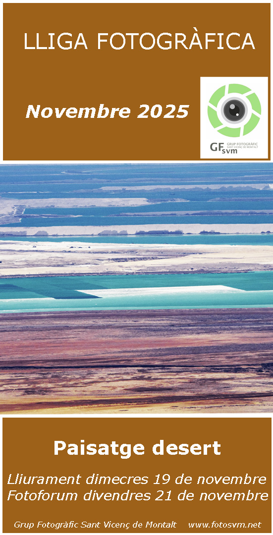 LLIGA SOCIAL GFSVM 2025-2026