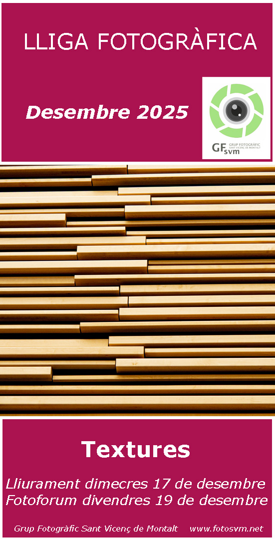 LLIGA SOCIAL GFSVM 2025-2026