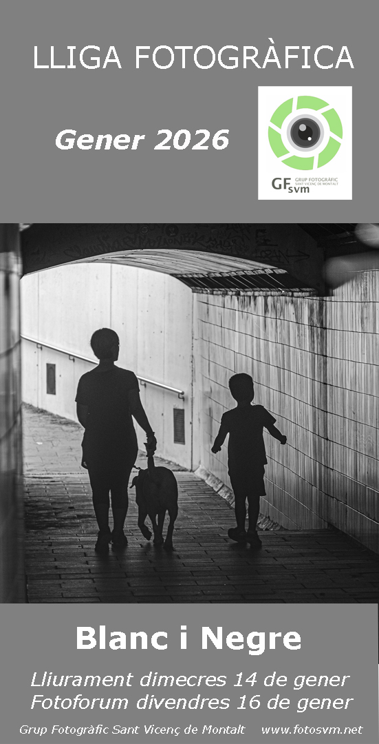 LLIGA SOCIAL GFSVM 2025-2026