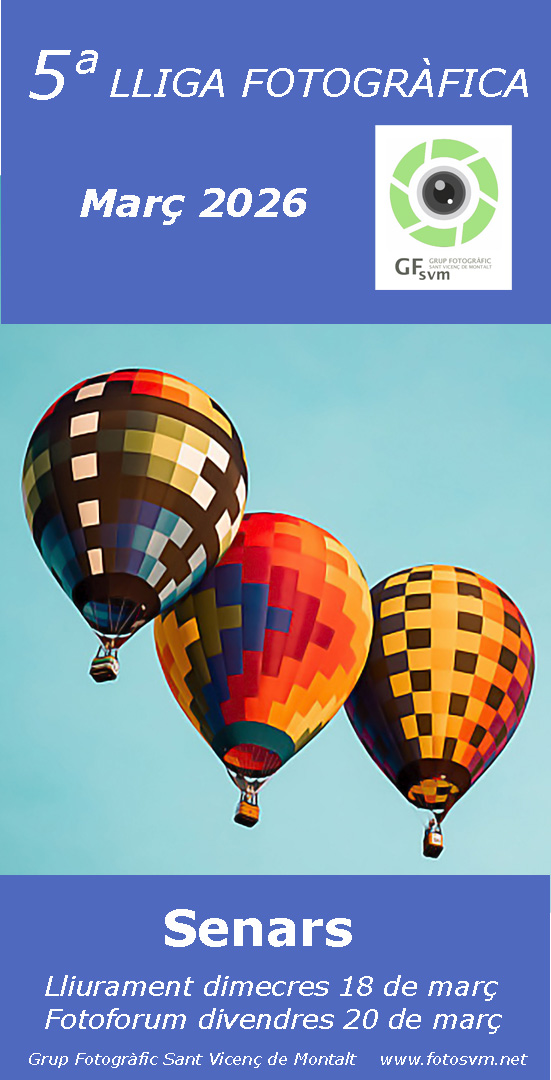 LLIGA SOCIAL GFSVM 2025-2026