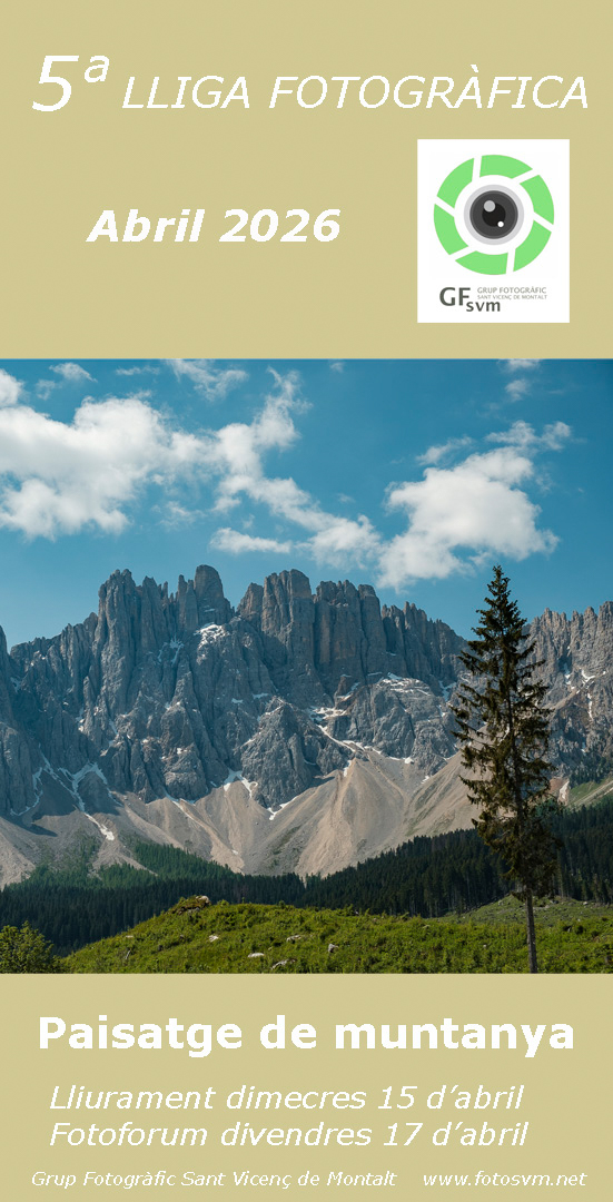 LLIGA SOCIAL GFSVM 2025-2026