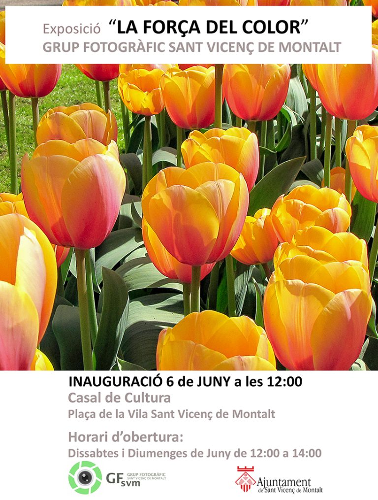 EXPOSICIÓ SOCIS GFSVM «LA FORÇA DEL COLOR»
