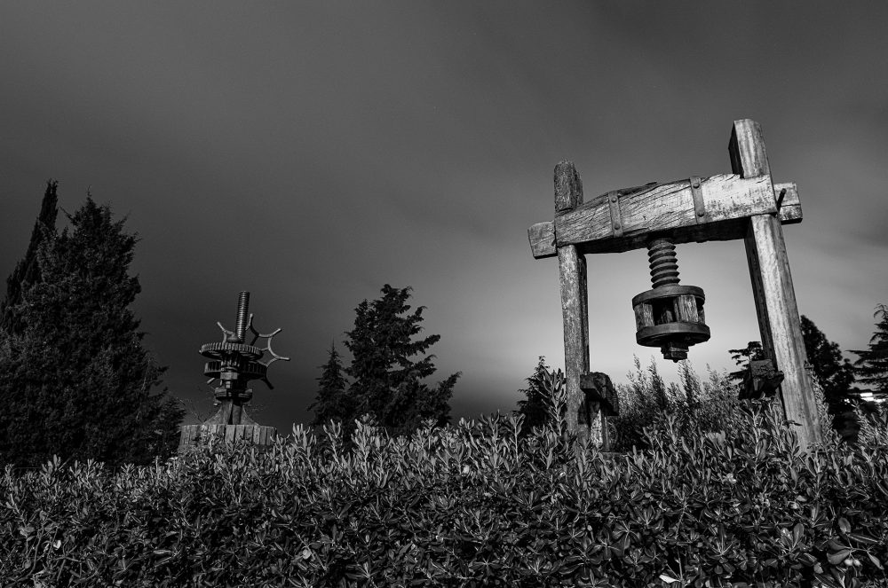 TRULL-premsa-de-Can-Caralt