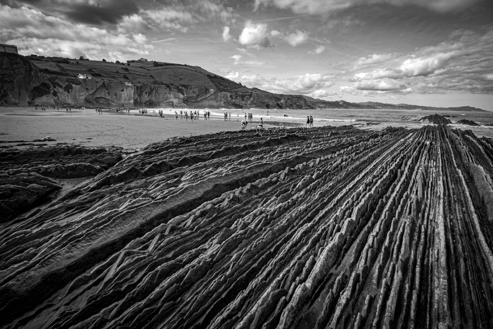 flysch