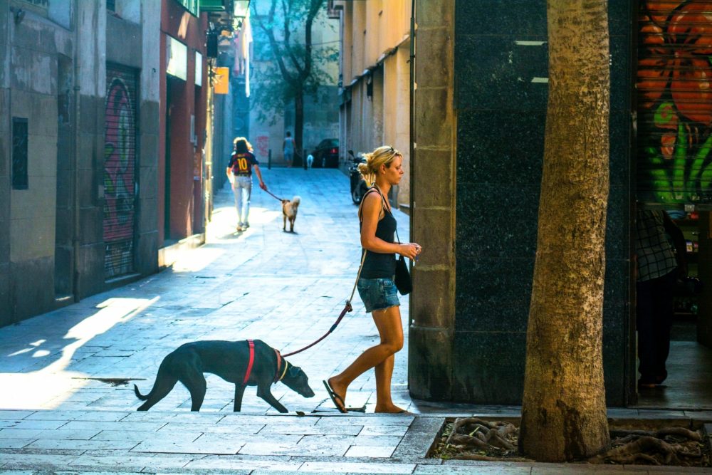 De paseo, 350_Joan Muñoz