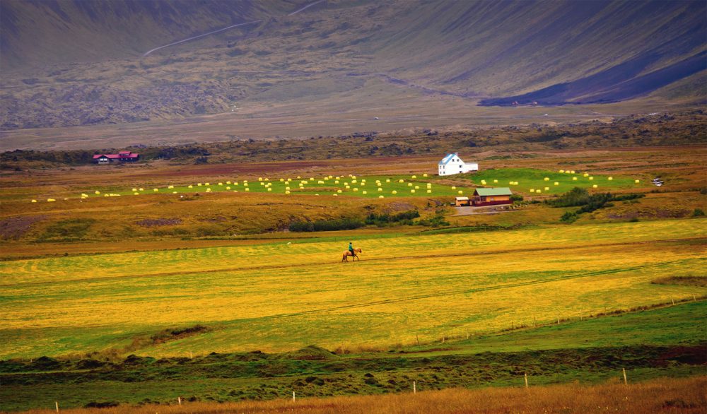 10.-Plana agricola/Margarita Bertran