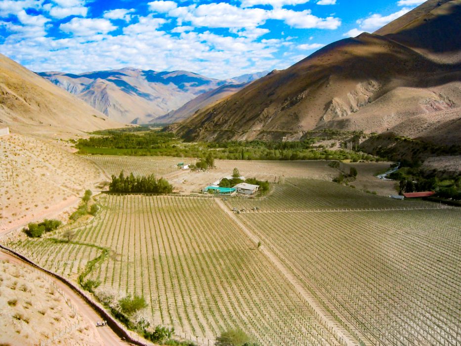 Oasis-en-el-Desierto-de-Atacama-Chile