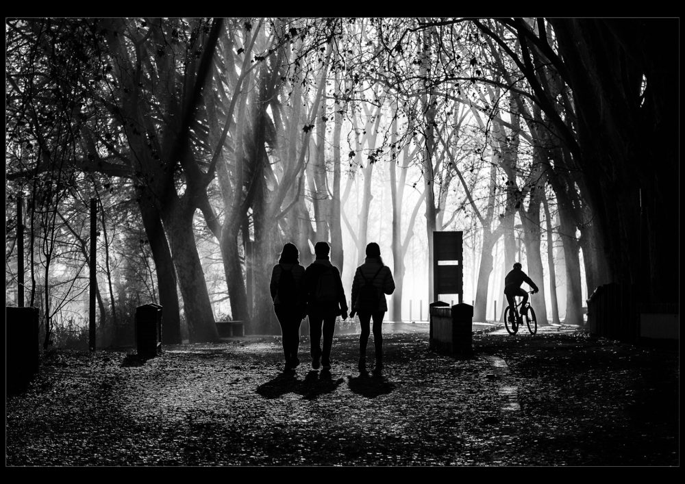 El Primer Passeig/Pol Bosch